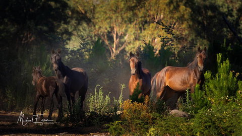 Pound Creek Gallery - Holiday Find 18