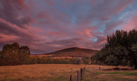 Pound Creek Gallery - Holiday Find 28