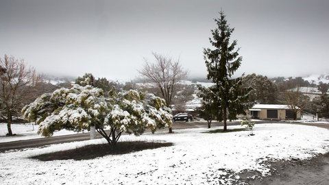 Pound Creek Gallery - Holiday Find 8