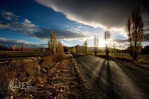 Pound Creek Gallery - Holiday Find 19