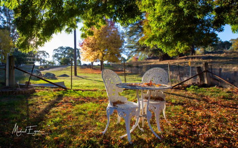 Pound Creek Gallery - Holiday Find 27