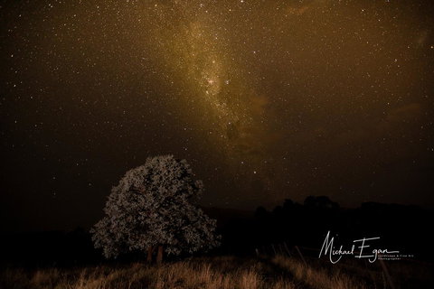 Pound Creek Gallery - Holiday Find 12