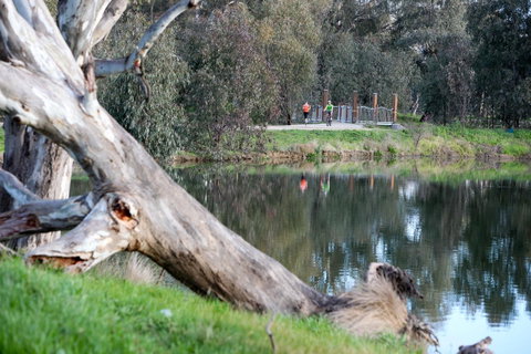 Mercure Albury - Holiday Find 15