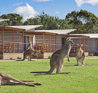 Discovery Parks  Pambula Beach - Holiday Find