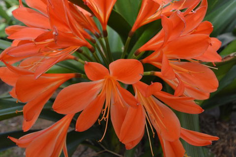 JE Guesthouse, Central To All The Hunter Valley Has To Offer - Holiday Find 39