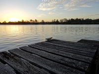Book Urunga Accommodation Vacations Holiday Find Holiday Find