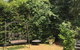 The Best Exotic Magnolia Cottage - thumb 4