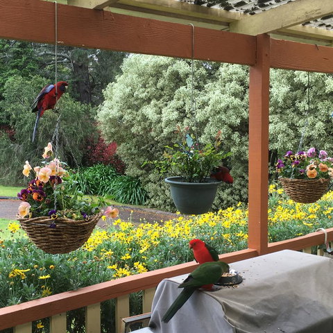 The Best Exotic Magnolia Cottage - Holiday Find 33