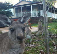 Bush  Bay Cottage - Holiday Find