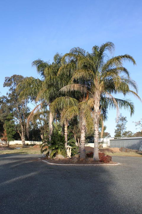 Temora Motel - Holiday Find 6