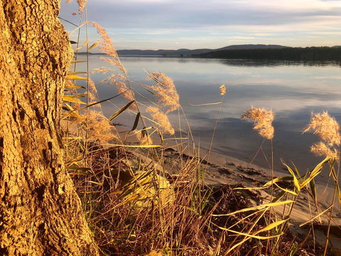 Lakeview Cottage - Holiday Find 14