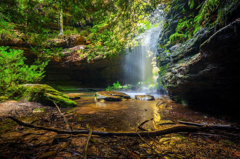 Sky Rider Motor Inn - Holiday Find 23