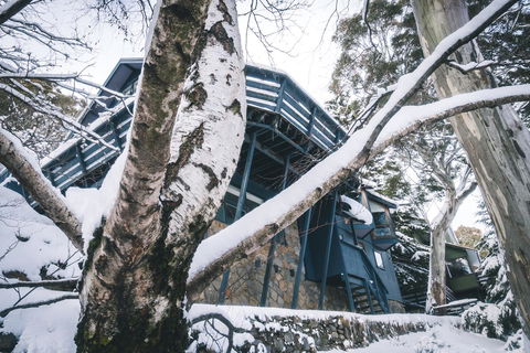 Pure Chalet Thredbo - Holiday Find 21