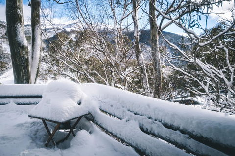 Pure Chalet Thredbo - Holiday Find 19