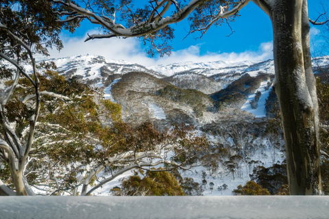 Pure Chalet Thredbo - Holiday Find 17