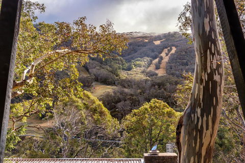 Pure Chalet Thredbo - Holiday Find 35