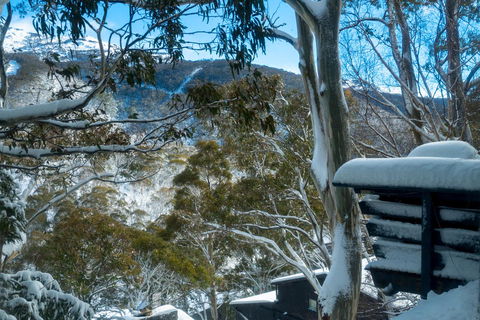 Pure Chalet Thredbo - Holiday Find 30