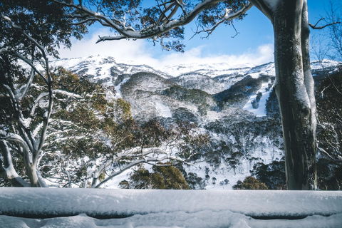Pure Chalet Thredbo - Holiday Find 2