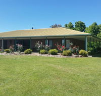 Bonaways - Holiday Find