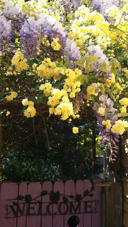 Bowral Road Bed And Breakfast - Holiday Find 0