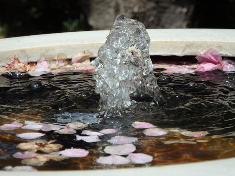 Bowral Road Bed And Breakfast - Holiday Find 2