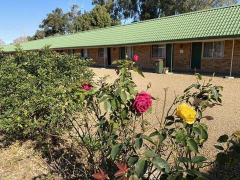 Bridge Motel Wellington - Holiday Find 1