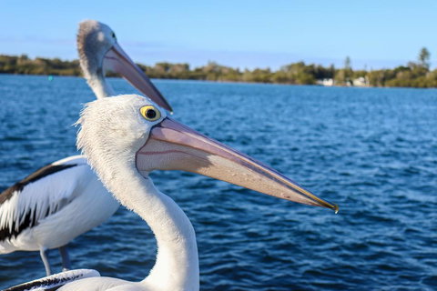 Bromyard Cottage - Holiday Find 1