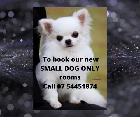 Buderim Fiesta Motel - Holiday Find 0