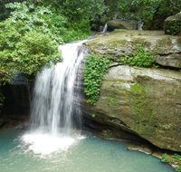 Buderim Forest Hideaway - Holiday Find