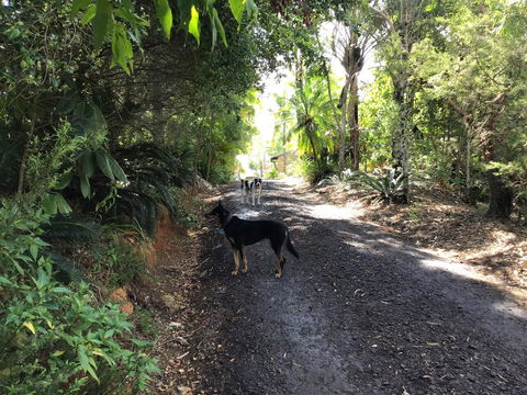 Bunya Cottage - Holiday Find 2