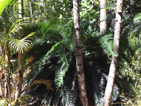 Bunya Cottage - Holiday Find 1