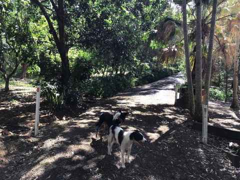 Bunya Cottage - Holiday Find 3