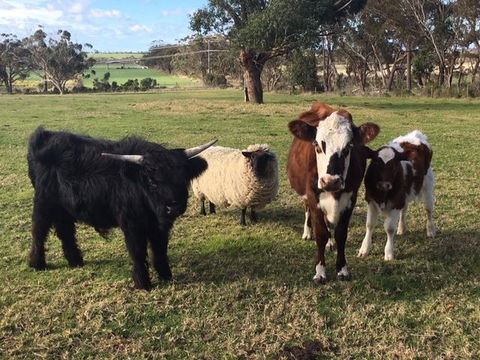Bush Retreat Farm Stay - Holiday Find 1