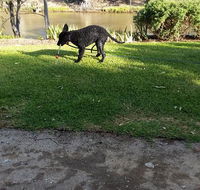 Captain's Cottage Bed  Breakfast - Holiday Find