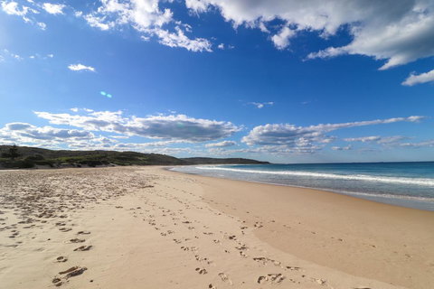 Catho Cottage - Holiday Find 2