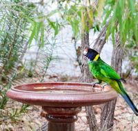 Caves Road Chalets - Holiday Find