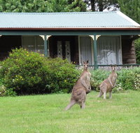 Cedar Lodge Cabins - Holiday Find