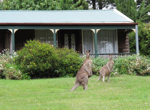 Cedar Lodge Cabins - Holiday Find 0