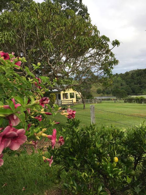 CedarBrae Country Stay - Holiday Find 2