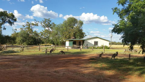 Charleville Bush Cottage - Holiday Find 1