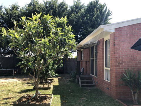 Charlie Sweet Home At Mornington Peninsula - Holiday Find 1