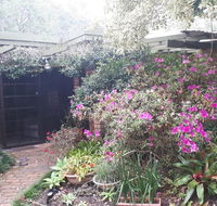 Charming country house close to Grafton - Holiday Find
