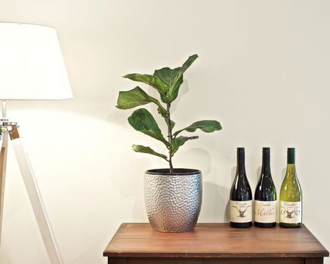 Cirillo Guest House - Holiday Find 2