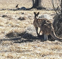 Clansman Motel - Holiday Find