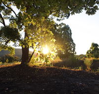 Clarendon Forest Retreat - Holiday Find