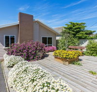 CLOUD NINE - ROSEBUD - Holiday Find