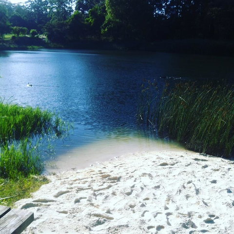 Cloudlake Mountain Retreat - Holiday Find 3