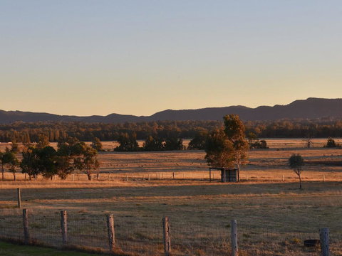 Clydesdale Cottage On Talga With Real Clydesdale Horses - Holiday Find 3