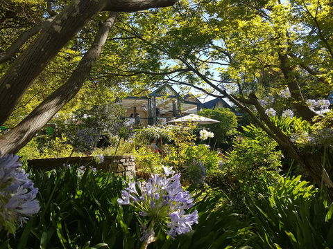 Cobb's Hill Homestead - Holiday Find 1