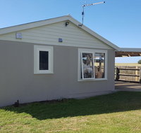 Cockle Shell - Holiday Find